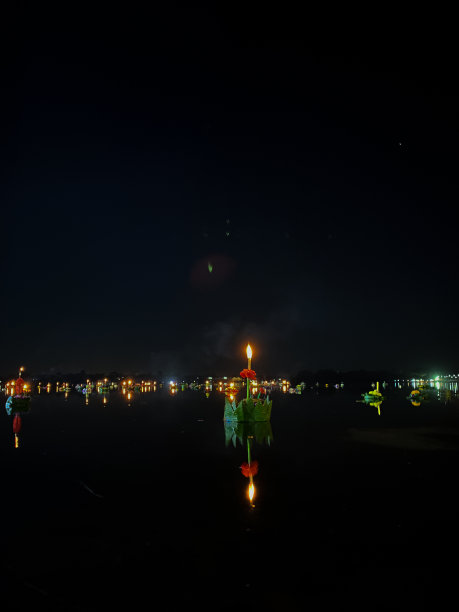 水银花图片下载