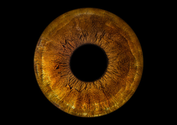 我虹膜的微距摄影图片下载