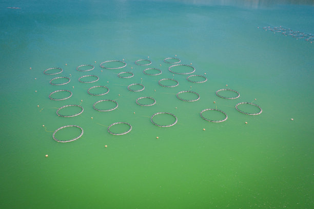 鸟瞰水中的渔场。图片下载