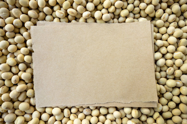 干大豆与棕色的空白纸背景图片下载
