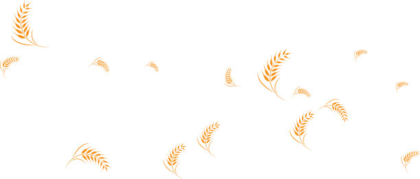 小麦的标志图片下载