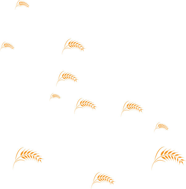 小麦的标志图片下载