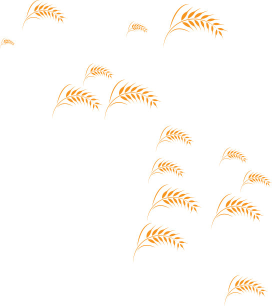 小麦的标志图片下载