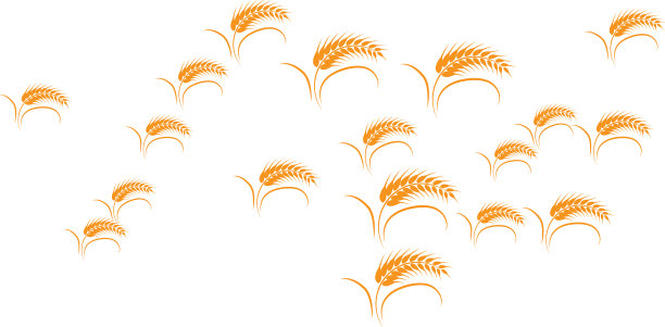 小麦的标志图片下载