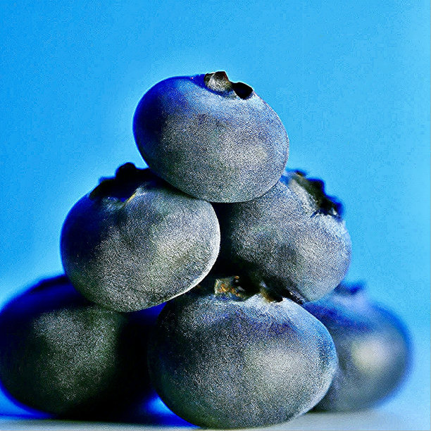 堆蓝莓图片下载