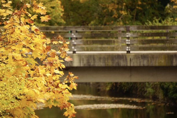 秋天的Bad Aibling的市中心。秋天的巴伐利亚姜饼可爱的小镇。在德国的一个小镇上，秋天树上明亮的叶子。秋天的德国小镇。图片下载