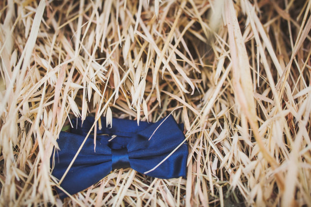 蓝色的结婚蝴蝶躺在稻草上图片下载