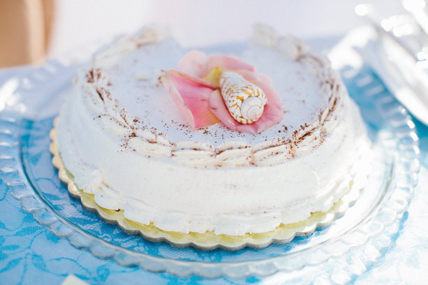 用花瓣和贝壳装饰的单层婚礼蛋糕图片下载