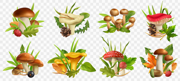 蘑菇现实透明设置图片下载