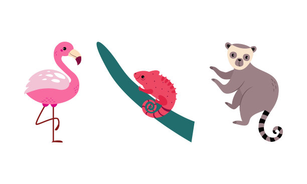 可爱的野生狩猎非洲动物设置火烈鸟图片下载