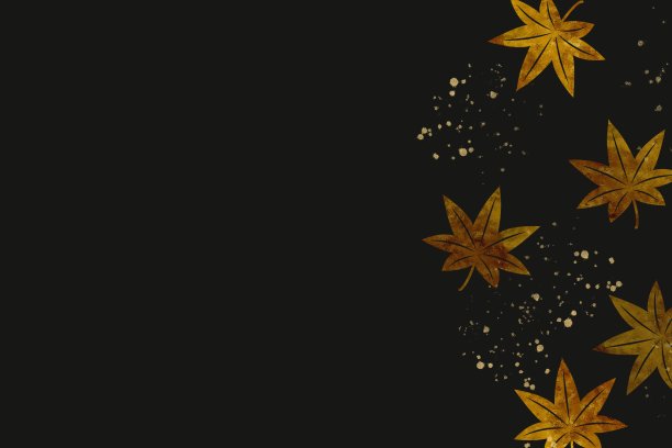 金色的日本枫叶图案和黑色背景上的飞溅。日式复古黑模板。秋季植物图片下载