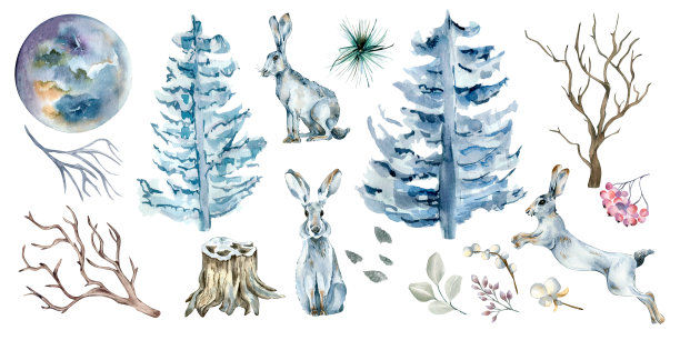 一套野兔，云杉，冷杉和月亮水彩插图孤立在白色背景。图片下载