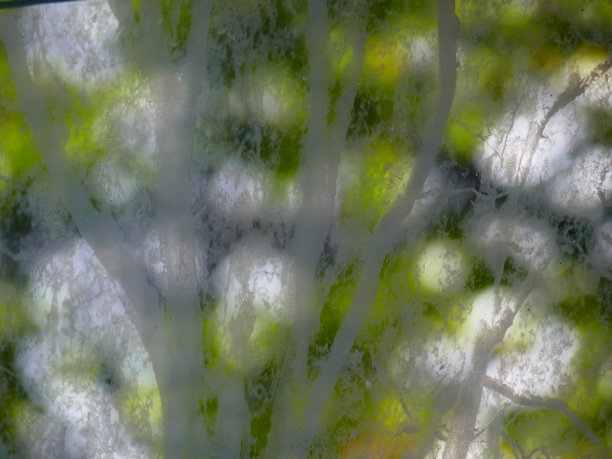 彩色玻璃窗，Père-Lachaise墓地，巴黎图片下载