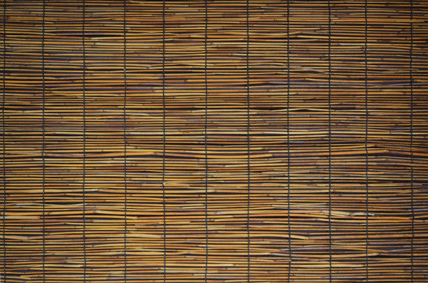 棕竹屏风近景图片下载