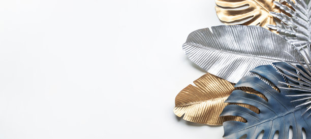 收集热带树叶，树叶优雅的风格与金色，银色的颜色。抽象的树叶装饰设计图片下载