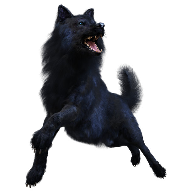 3D渲染黑狼在白色上图片下载