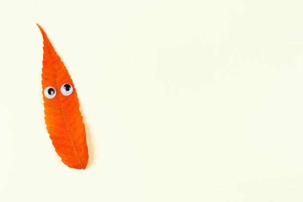 秋天落下的红叶在白色的背景上带着滑稽的脸。图片下载