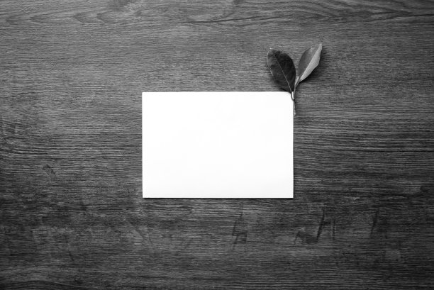 纸张和树叶摆放在桌子上，黑白极简的概念，复制空间。图片下载
