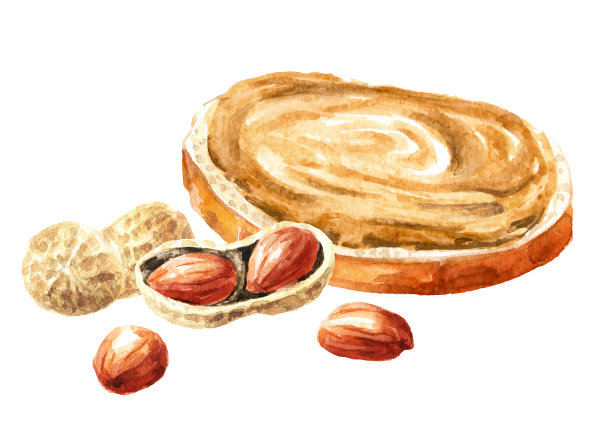 花生酱，手绘水彩插图，孤立在白色背景图片下载