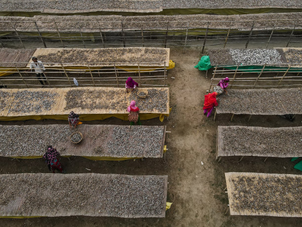 干鱼加工鸟瞰图图片下载