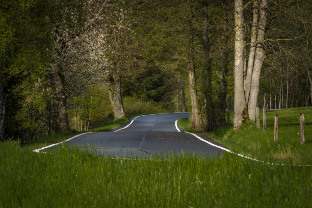 早晨，在波西米亚北部Nejdek镇附近，雨后潮湿的黑色道路上图片下载