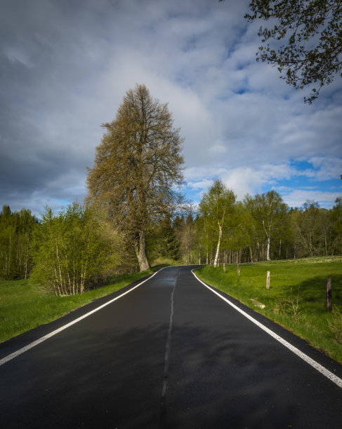 早晨，在波西米亚北部Nejdek镇附近，雨后潮湿的黑色道路上图片下载