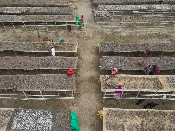 干鱼加工鸟瞰图图片下载