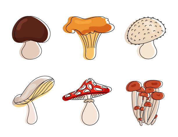 蘑菇向量集合设计，蘑菇向量集合，蘑菇集合设计。图片下载