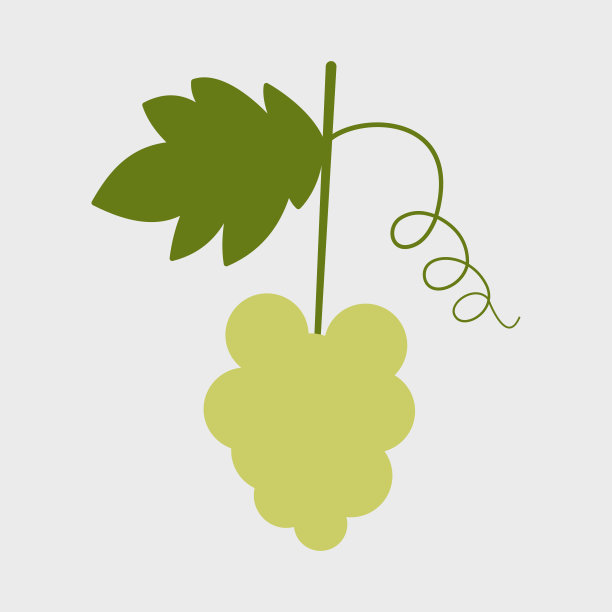 一串成熟的黄葡萄图片下载