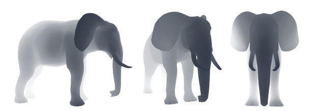 三维向量的大象。集图片下载