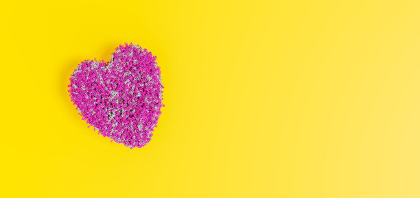 粉红色的花在黄色的背景图片下载