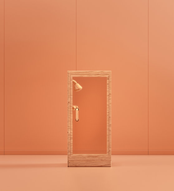 木质淋浴房，单色室内，3d效果图图片下载