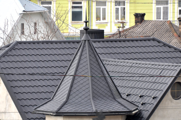 房子的屋顶上覆盖着金属瓦图片下载