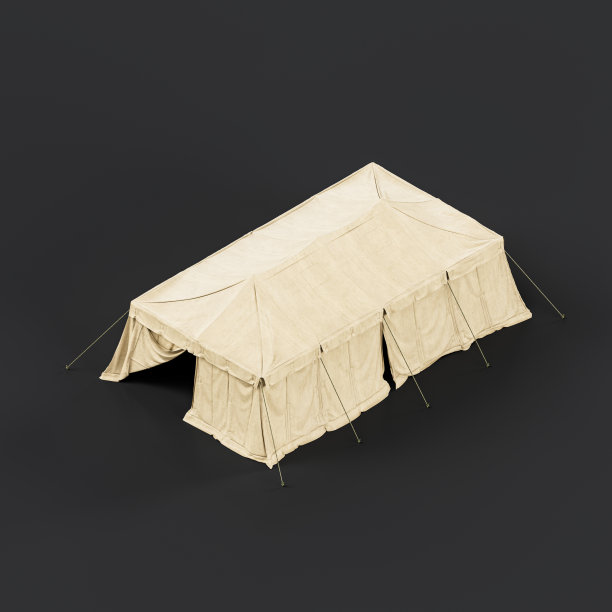 军用帐篷和庇护所，士兵的营地。灾难后人道主义救援帐篷，3d效果图图片下载