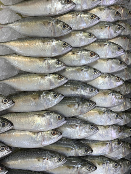冰镇鲜鱼在市场上出售。一堆生的冷冻鱼放在冰上。图片下载