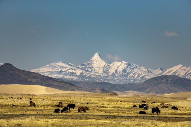 大拉吉里峰位于雅鲁藏布江源头图片下载