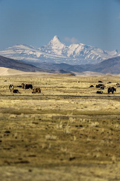 大拉吉里峰位于雅鲁藏布江源头图片下载