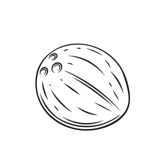 整个椰子图片下载