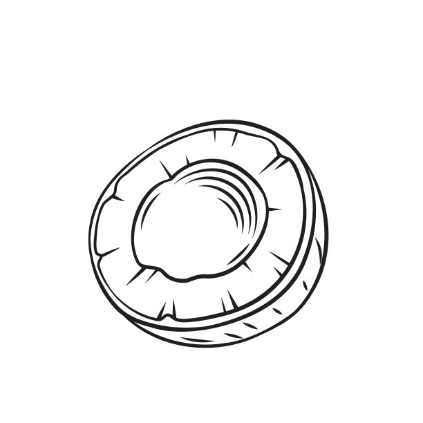 一半的椰子图片下载