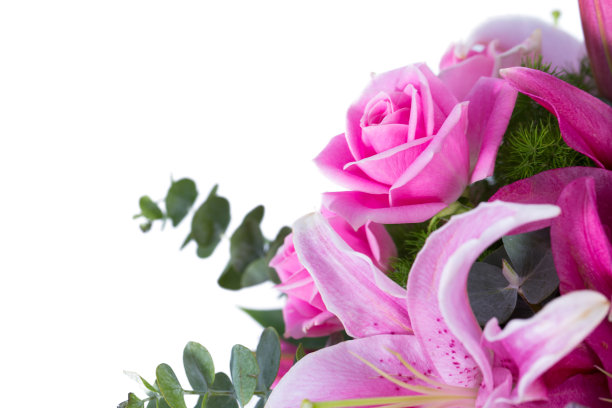 花卉品种繁多图片下载