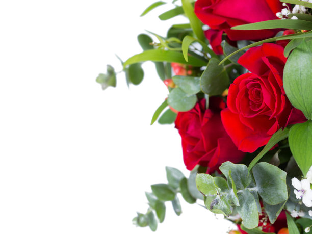 花卉品种繁多图片下载