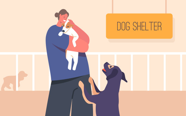 年轻微笑的女性志愿者在流浪动物收容所、收容所、康复中心或收养中心与宠物玩耍图片下载