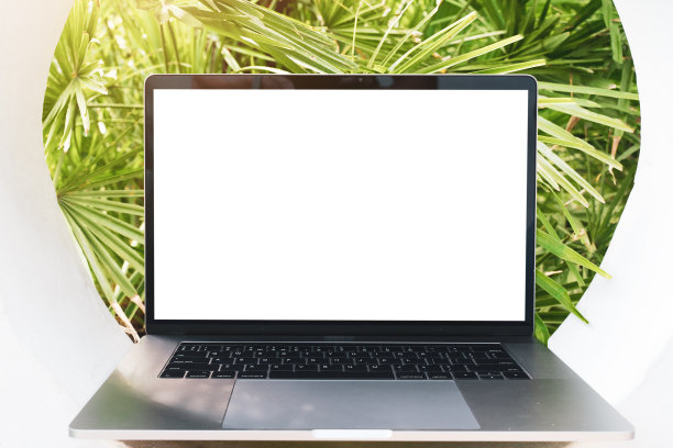 笔记本电脑模型。笔记本与白色屏幕与棕榈树叶子的背景。假期、旅游、远程工作和学习的概念。空白的拷贝空间，空白屏幕的现代笔记本电脑。图片下载