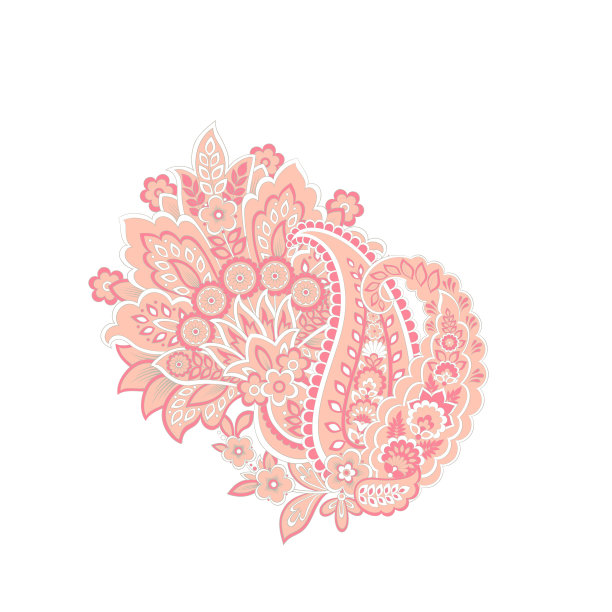 佩斯利矢量孤立模式。花卉的插图图片下载