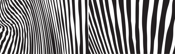 野生斑马波图案集与黑色和白色。时髦时髦的抽象背景。图片下载
