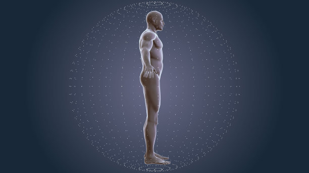 人体与神经丛技术背景图片下载