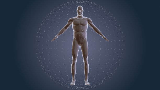 人体与神经丛技术背景图片下载