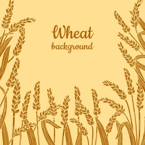 麦穗金框背景设计模板图片下载
