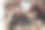节日同事玩网络游戏图片下载
