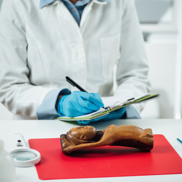 美术鉴定、木雕鉴定图片下载